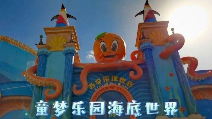 西宁水族馆：西宁千湖水族馆 全国观赏鱼市场 第7张