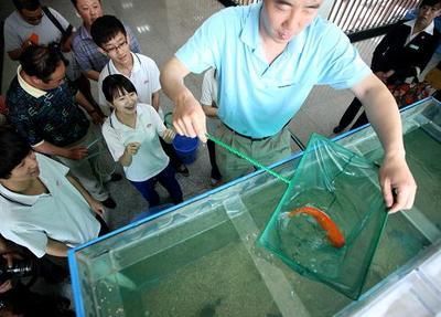 通辽水族馆：内蒙古通辽市科尔沁区施介路鑫丰利水族馆通辽水族馆 全国观赏鱼市场 第1张