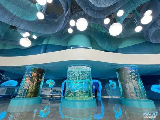 汕尾水族馆 全国观赏鱼市场 第9张