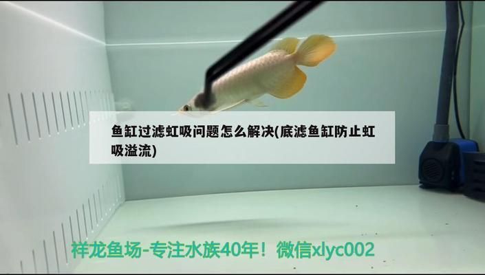 鱼缸虹吸图解：鱼缸虹吸底滤原理图解 鱼缸百科 第3张