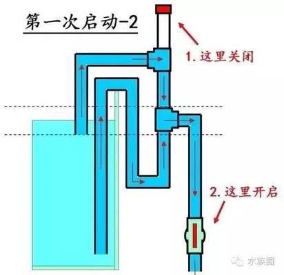 鱼缸虹吸图解：鱼缸虹吸底滤原理图解 鱼缸百科 第5张