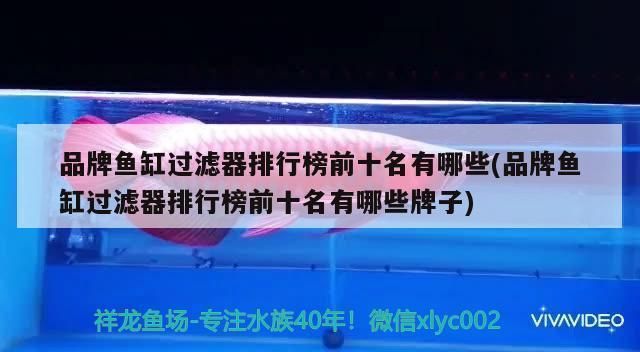 品牌鱼缸过滤器排名榜前十名：2024年品牌鱼缸过滤器排名榜前十名 鱼缸百科 第2张