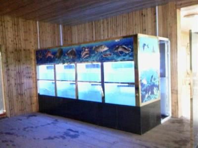 新乡水族批发市场 全国观赏鱼市场 第3张