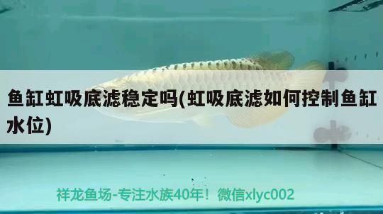 新乡水族批发市场 全国观赏鱼市场 第6张