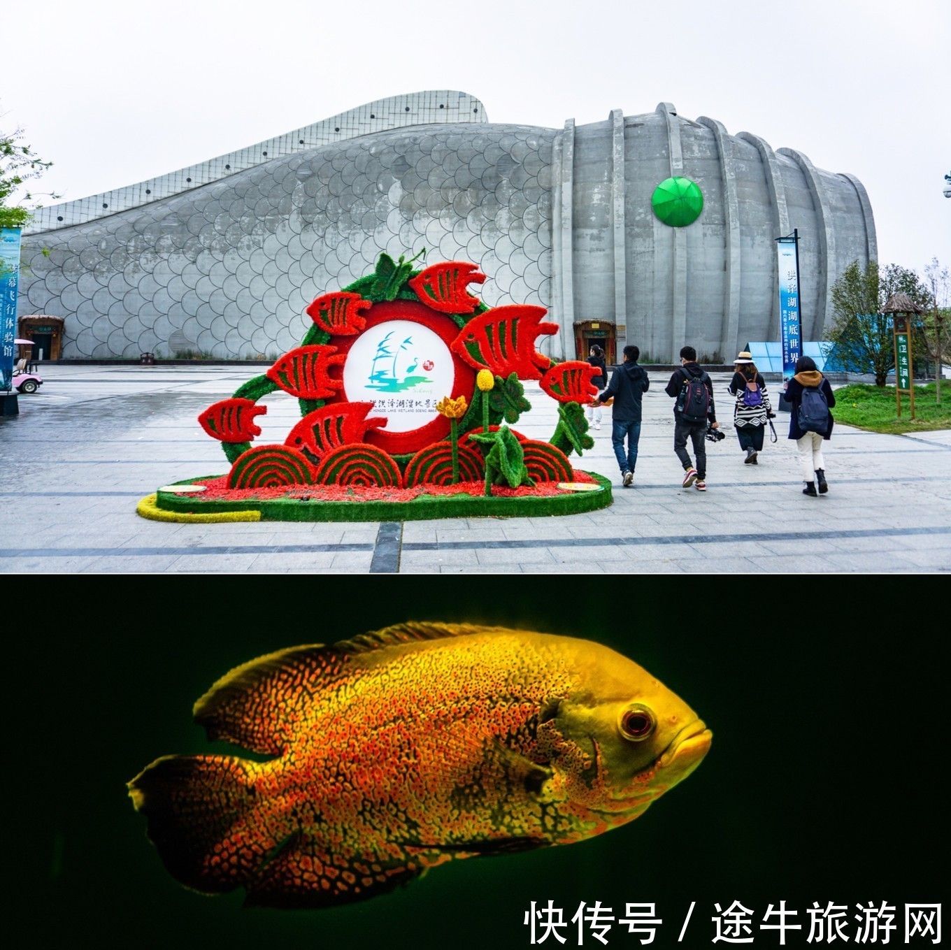 宿迁水族馆：宿迁宿迁水族馆亲子活动安排通达水族馆环保教育项目 全国观赏鱼市场 第1张