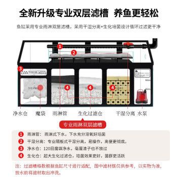 红龙鱼褪色原因：-红龙鱼褪色的原因是什么，红龙鱼褪色的原因是什么 水族问答 第3张