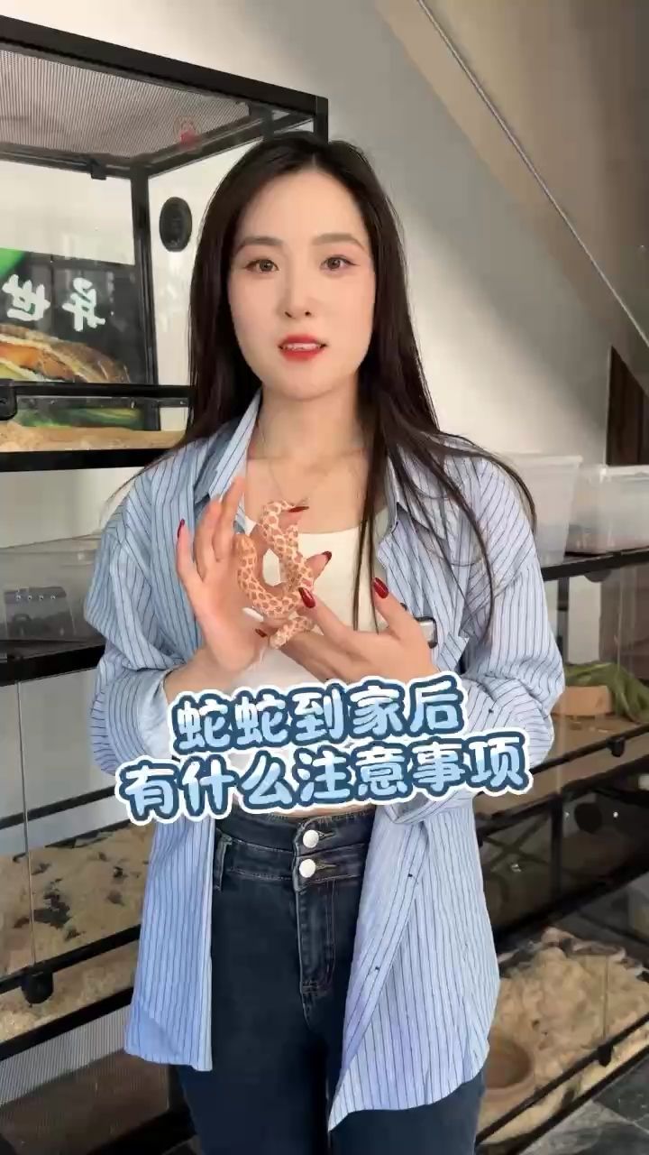 蛇到家后有什么注意事项：宠物蛇到家后需要注意以下几点确保蛇的生活环境安全 观赏鱼论坛