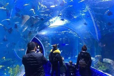 延安水族馆：延安乐园水族馆