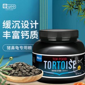 猪鼻龟养多久成年可以吃饲料 猪鼻龟百科 第3张