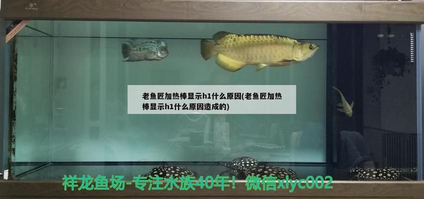 鱼缸加热棒显示h1怎么回事：鱼缸加热棒显示h1可能有多种原因解决方案和解决方案 鱼缸百科 第5张