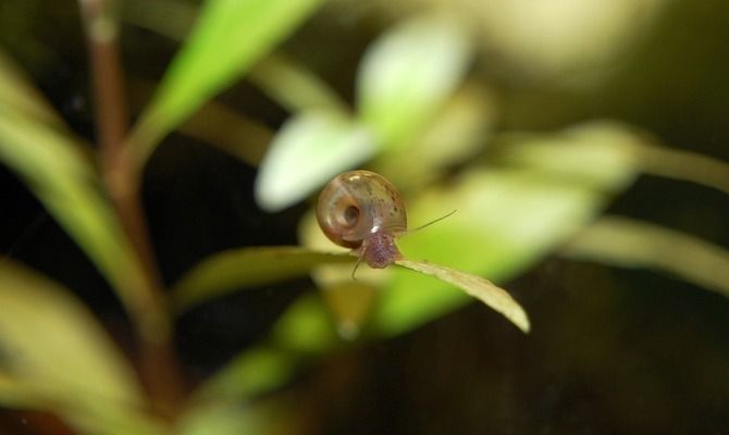 森森水族鱼缸厂家地址 鱼缸百科 第2张