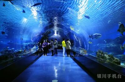 银川水族馆：中国宁夏银川水族馆程之成水族馆程之成水族馆开放时间 全国观赏鱼市场 第3张