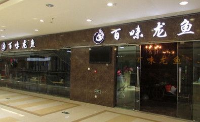 郑州龙鱼专卖店：郑州龙鱼专卖店(龙鱼专卖店的价格与售后服务 全国观赏鱼市场 第3张