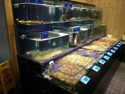 武汉水族批发市场：武汉水族批发市场在哪里 全国观赏鱼市场 第2张