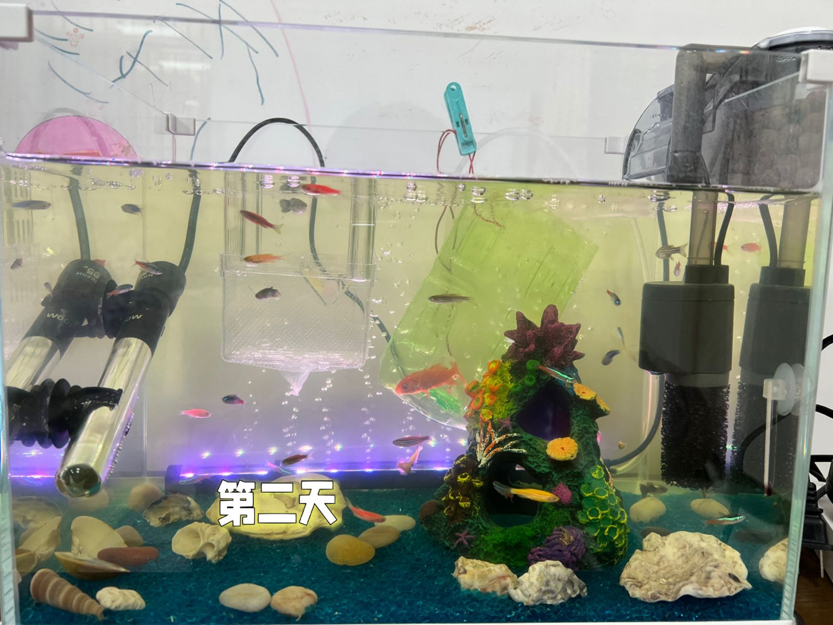 鱼缸什么水质最好：鱼缸水质对水族箱中的生物至关重要 鱼缸百科 第4张