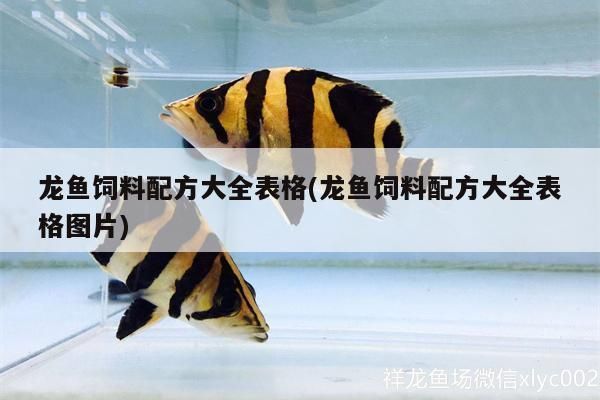 龙鱼饲料配方大全图片高清大图：龙鱼专用饲料品牌推荐，自制龙鱼饲料的步骤，龙鱼保存方法详解 龙鱼百科 第2张