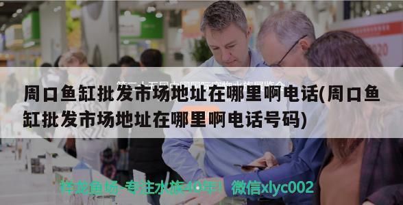 吴忠鱼缸批发市场：吴忠鱼缸批发市场在哪里 全国观赏鱼市场 第2张