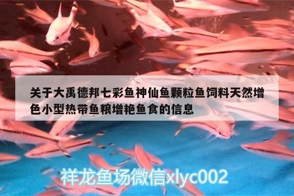 大禹水族鱼缸怎么样啊：大禹水族鱼缸用户评价汇总 鱼缸百科 第3张