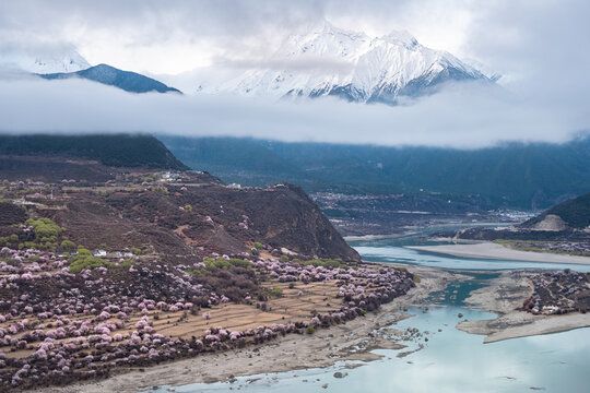 林芝水族馆：西藏林芝17个著名旅游景点 全国观赏鱼市场 第1张