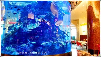 丽水水族批发市场 全国观赏鱼市场 第2张