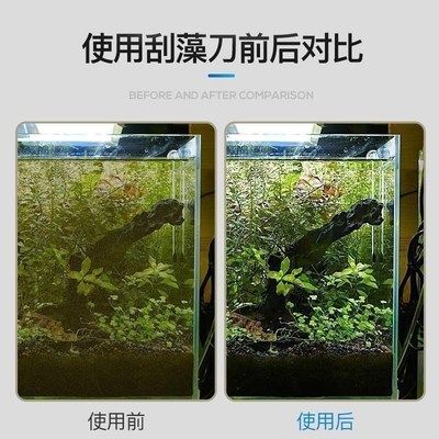 红龙鱼洗底色好吗：关于红龙鱼洗底色的问题 水族问答 第4张