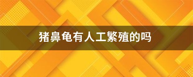 猪鼻龟人工繁殖视频播放：猪鼻龟人工繁殖视频和猪鼻龟怎么繁殖视频对应的相关信息 猪鼻龟百科 第9张