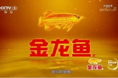 金龙鱼冬季喂食注意事项：金龙鱼冬季喂食需注意水温、饲料种类及量以及环境温度 金龙鱼百科 第2张