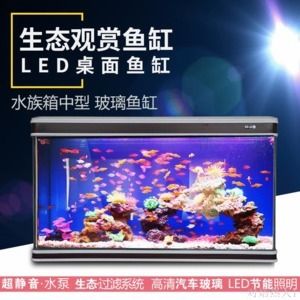 鱼缸LED灯光照节能效果比较：鱼缸led灯与荧光灯价格对比 鱼缸百科 第1张