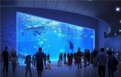 南昌水族馆：南昌旅游攻略，南昌水族馆 全国观赏鱼市场 第2张