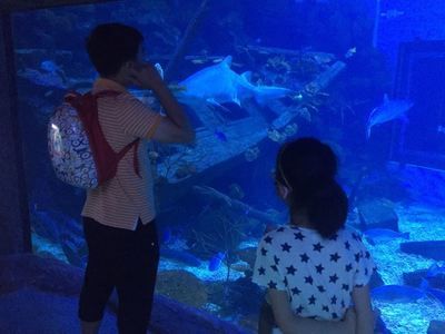 南昌水族馆：南昌旅游攻略，南昌水族馆 全国观赏鱼市场 第3张