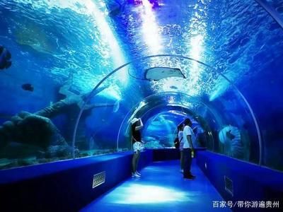 贵阳水族馆 全国观赏鱼市场 第2张