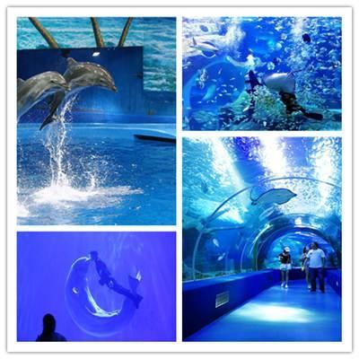 贵阳水族馆 全国观赏鱼市场 第3张