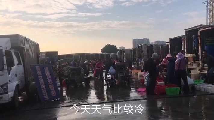 珠海水族批发市场：珠海水族批发基地在哪里有啊多少钱 全国观赏鱼市场 第1张