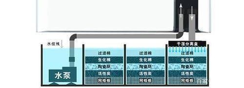 鱼缸水泵选型指南：如何维护鱼缸水泵 鱼缸百科 第4张