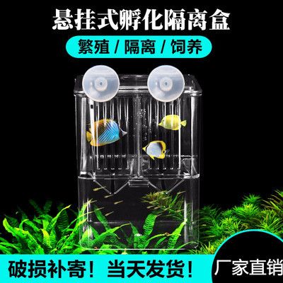 鱼缸隔离盒有用吗：如何自制鱼缸隔离盒 鱼缸百科 第5张