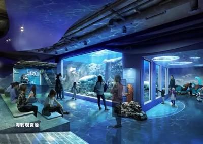 安阳水族馆：安阳市北关区小鱼饵水族馆 全国观赏鱼市场 第3张