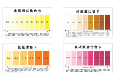 红龙鱼要多大的鱼缸：关于红龙鱼的一些问题 水族问答 第2张