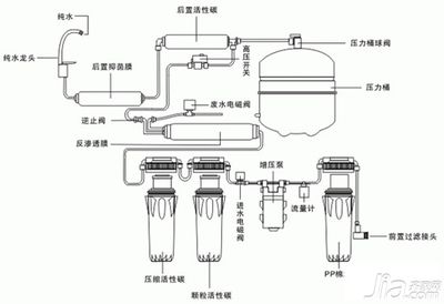 红龙鱼要养多久才会有起色现象：养红龙鱼需要耐心，通常在饲养6个月至1年内开始显现颜色 水族问答 第1张