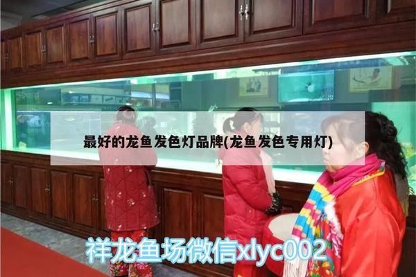 龙鱼发色灯什么牌子好一点的呢：水族专用品牌,飞利浦龙鱼灯使用体验,富华龙鱼灯效果评测 龙鱼百科 第2张