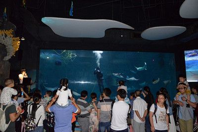 鸡西水族馆：鸡西爱丁堡宾馆 全国观赏鱼市场 第1张