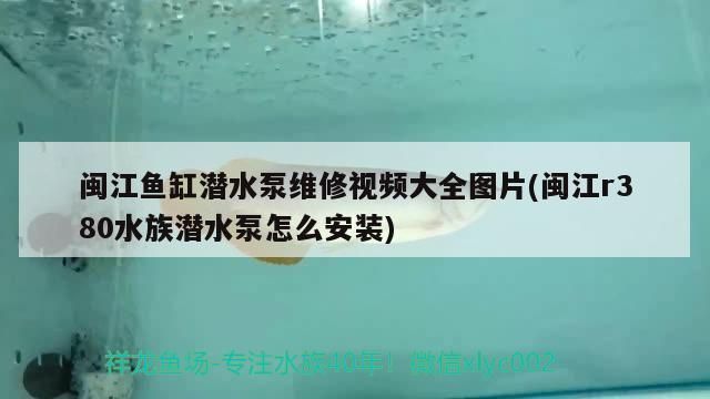 闽江鱼缸容易爆缸吗视频播放：闽江鱼缸容易爆缸吗 鱼缸百科 第1张