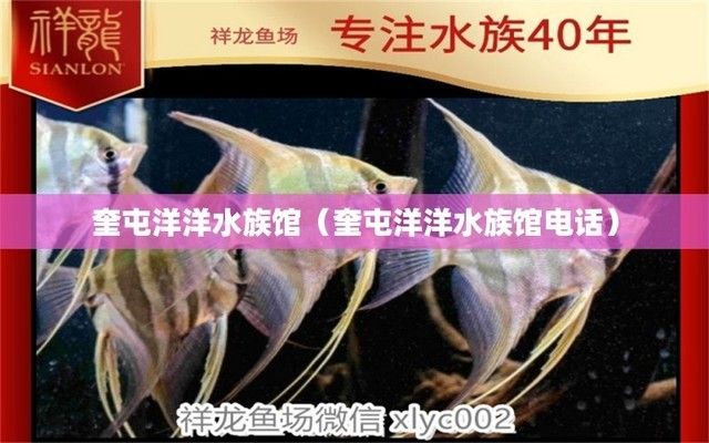 襄樊水族馆：襄阳市樊城区新华贵水族馆 全国观赏鱼市场 第2张