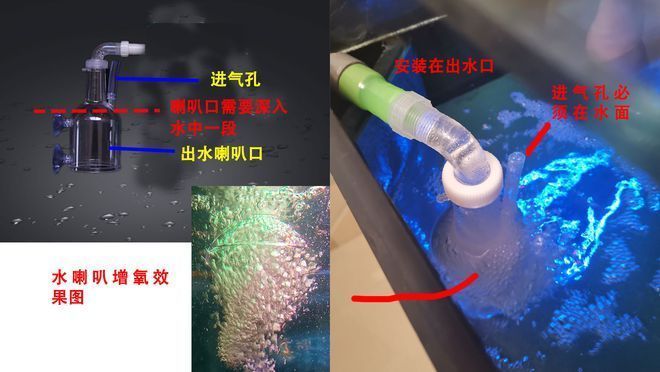 底滤鱼缸文氏管增氧制作过程：底滤鱼缸文氏管增氧制作过程涉及几个关键步骤 鱼缸百科 第5张