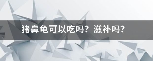 猪鼻龟好吃吗？：猪鼻龟怎么饲养？ 猪鼻龟百科 第9张