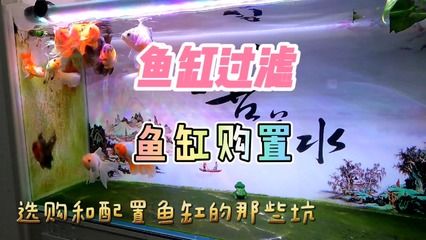 金龙鱼饲料安全性检测方法：金龙鱼饲料安全性检测方法涉及多个步骤和指标