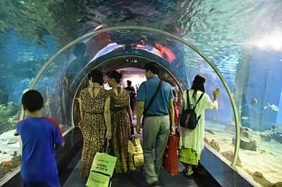 岳阳水族馆：岳阳水族馆开放时间安排岳阳水族馆亲子活动安排 全国观赏鱼市场 第2张