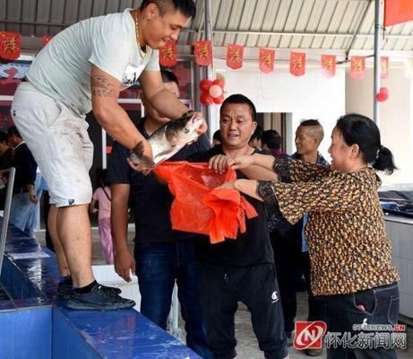 怀化水族批发市场：怀化市水族批发市场 全国观赏鱼市场 第1张