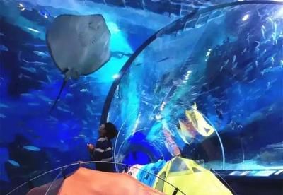 南阳水族馆：南阳市水饰界水族馆 全国观赏鱼市场 第1张