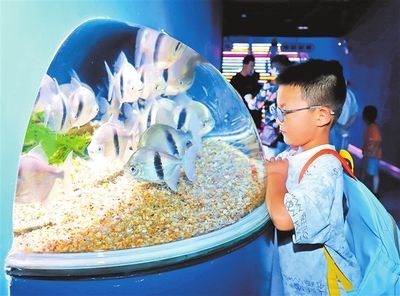 南阳水族馆：南阳市水饰界水族馆 全国观赏鱼市场 第3张