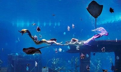 桂林水族馆：桂林旅游攻略桂林水族馆 全国观赏鱼市场 第1张